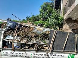 Best Attic Cleanout  in Cataula, GA